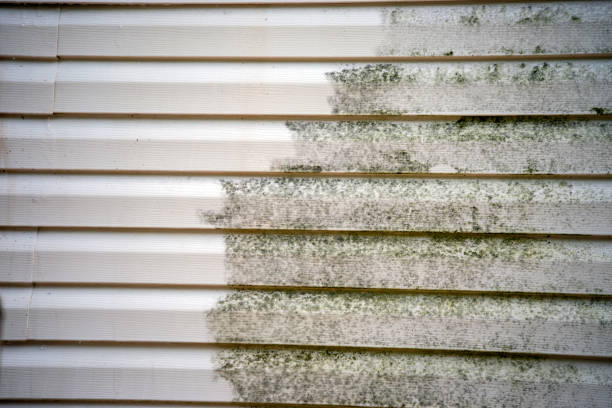 Best Stone Veneer Siding  in St Marys, OH