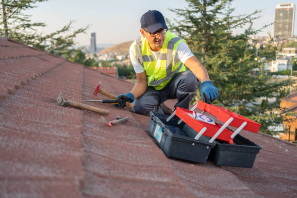 Best Insulated Siding Installation  in St Marys, OH